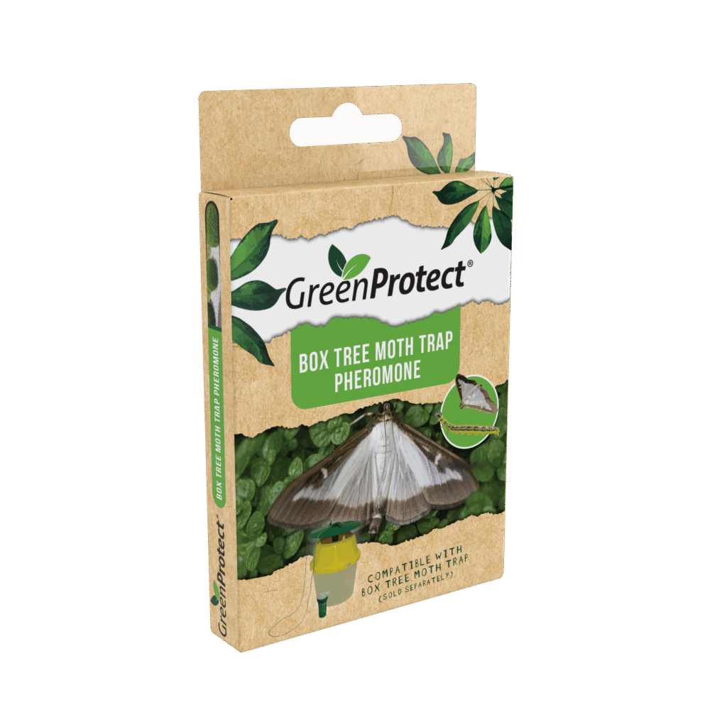 Box Tree Moth Pheromone Lure