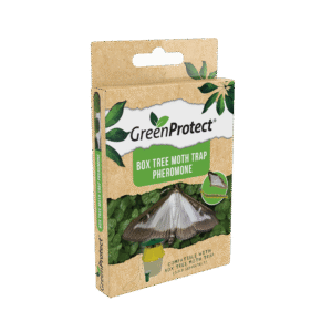 Box Tree Moth Pheromone Lure