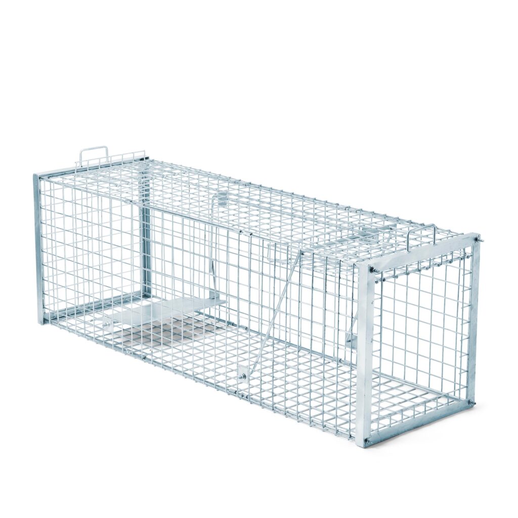 Fox Cage