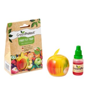 Fruit Fly Trap
