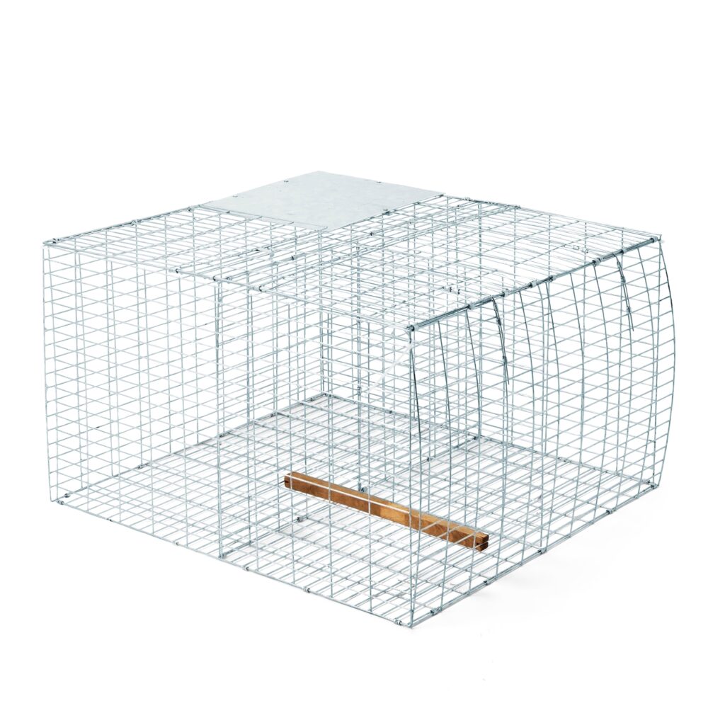 Larsen Cage